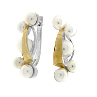 Silver and Gold Ring
